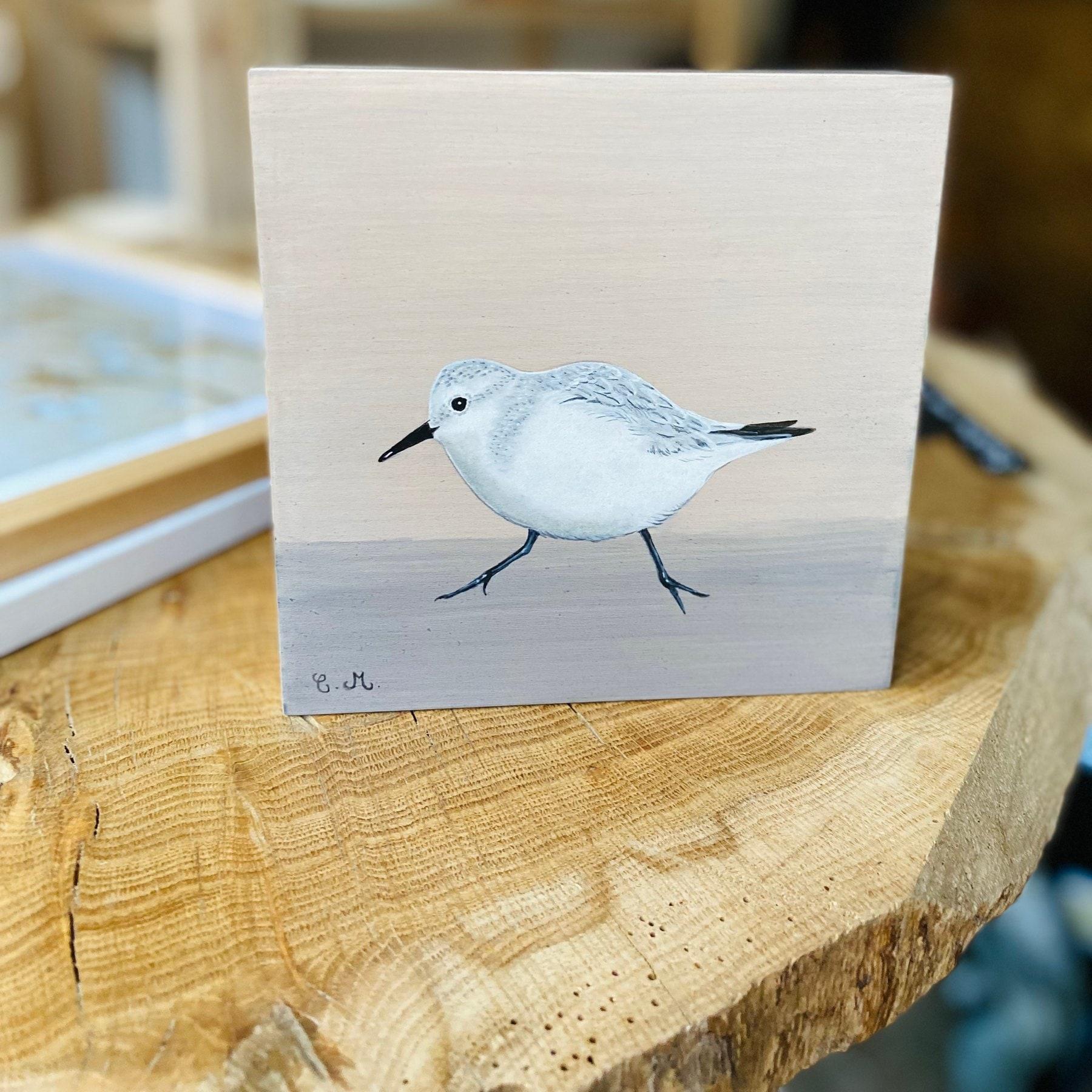 Bécasseau miniature 2