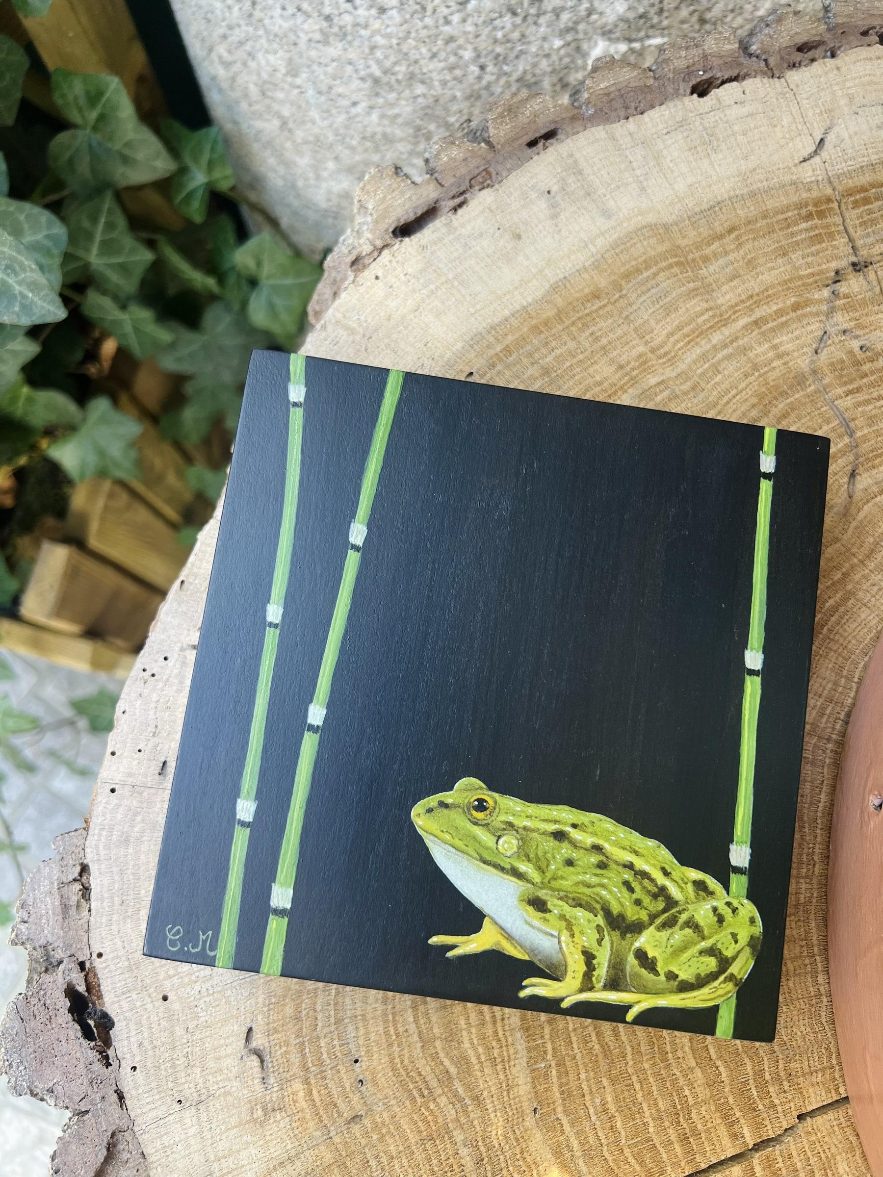 Grenouille verte - photo 1