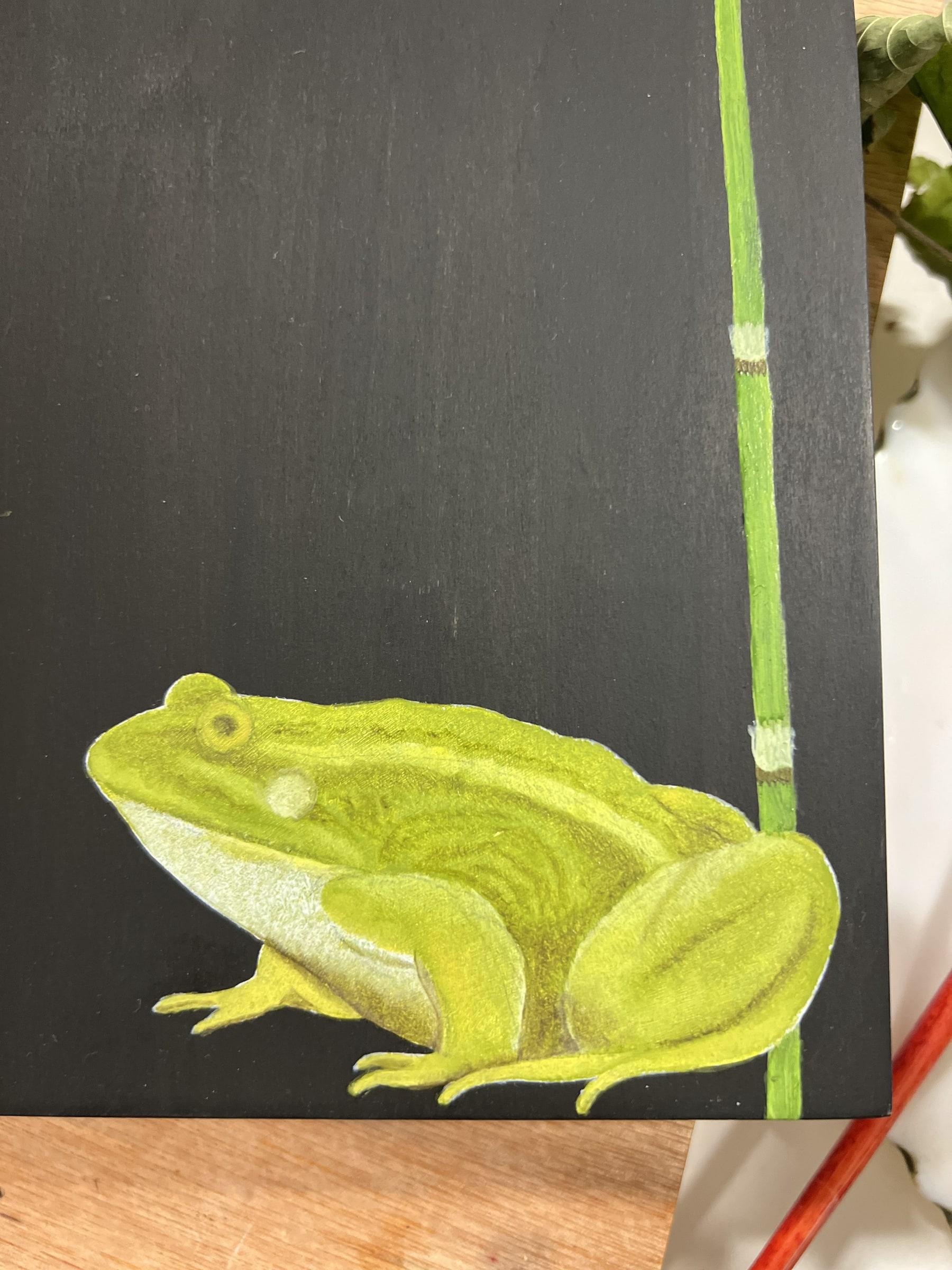 Grenouille verte miniature 3
